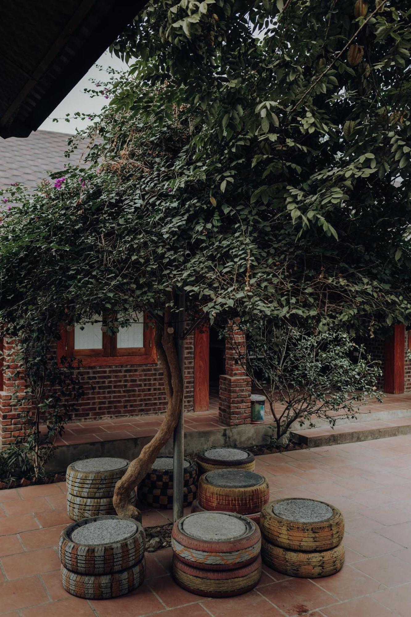 Ninh Binh Palm Homestay Экстерьер фото