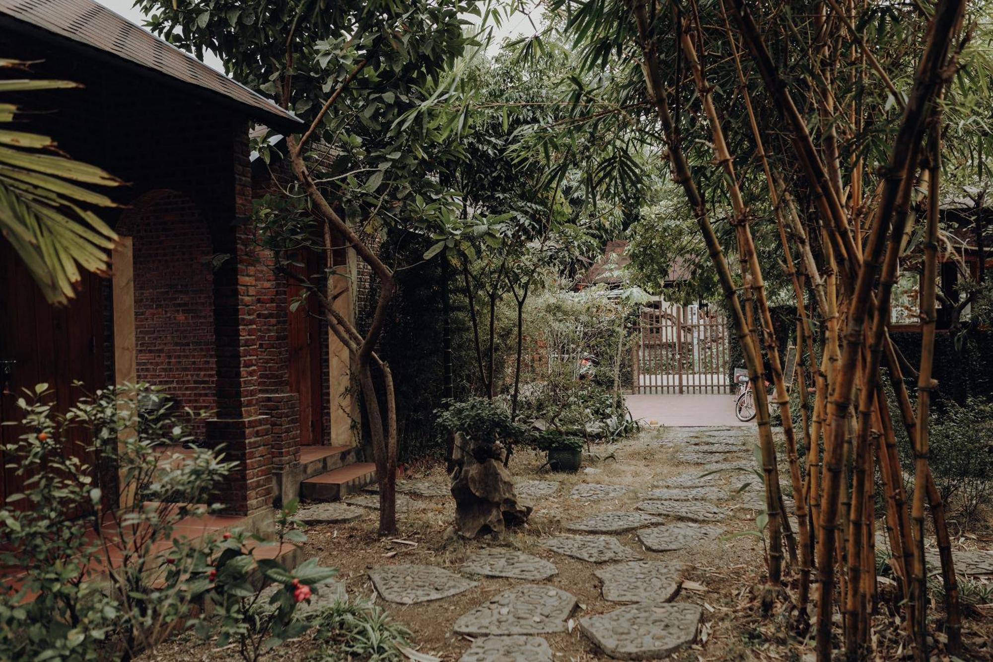 Ninh Binh Palm Homestay Экстерьер фото