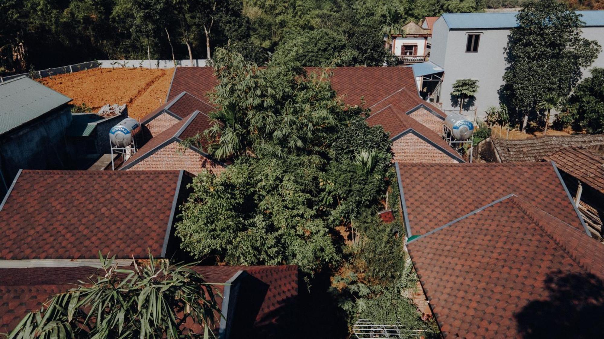 Ninh Binh Palm Homestay Экстерьер фото
